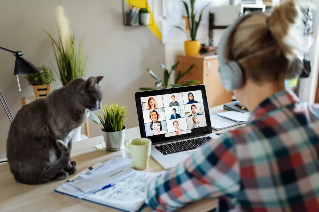 student och katt som tittar på skärm